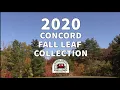 2020 Concord Fall Leaf Collection