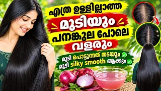 എത്ര ഉള്ളില്ലാത്ത മുടിയും പനംകുല പോലെ ദിവസങ്ങൾക്കുള്ളിൽ വളരുന്നത് കാണാം|| best hair thickening