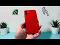 CHEAP iPhone 11 eBay Unboxing Review 2024