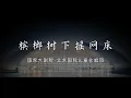 国家大剧院·北京国际儿童合唱团：槟榔树下摇网床| Hammock Hanging Between Betel Trees, Beijing International Children's Choir