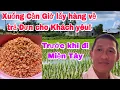 Xuân Lam đi Cần Giờ lấy hàng về trả Đơn cho Khách yêu trước khi đi Miền Tây!