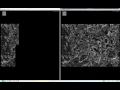Caches get populated in parallel even when loaders are implemented in python