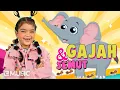Download Lagu MAZAYA - GAJAH DAN SEMUT (Official Music Video)