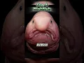 Download Lagu Top 4 Real Sea Creatures That Look Fake #shorts #deepsea #blobfish