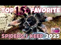 Download Lagu Top 15 Favorite Spiders I Keep 2025