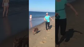 Dog life on a boat – Part 1 #dog #dogs #boating