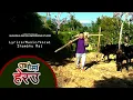 Download Lagu New Nepali Song || SHambhu Rai || Ubhoma Herau