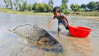 Amazing Traditional Boy Fish Catching By Hand in Water | Amazing Hand Fishing Video #Fish