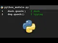 Introduction to Python Duck Typing 16
