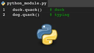 Introduction to Python Duck Typing 16