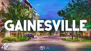 Top 10 Best Things to Do in Gainesville Florida - Travel Guide 2025