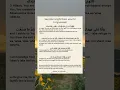 Download Lagu Best Way of Istighfar | Sayyidul Istighfar with Meaning \u0026 Benefits #dua #shorts