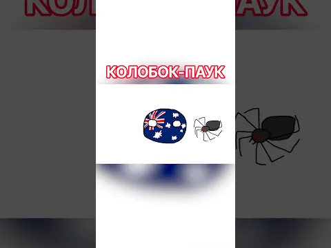 Колобок-паук #countryballs #polandball #memes #кантриболз #animation #анимация #австралия #fyp