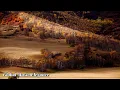 Download Lagu Слушайте, чтобы почувствовать умиротворение🎶Лучшие мелодии в мире🌿Прекрасная музыка Сергея Грищука