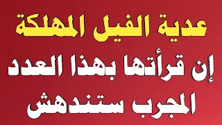 عدية الفيل المهلكة إن قرأتها بهذا العدد المجرب ستندهش ش توفيق أبو الدهب 