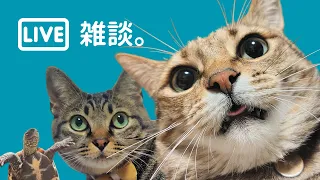 【飲酒配信】最近わくわくしていますか?