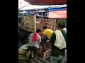 Download Lagu Tiada yang tau