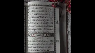 سورة الكهف بصوت عمر ضياء الدين 