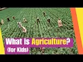 What is Agriculture for kids Learn the history of agriculture from ancient times to present day