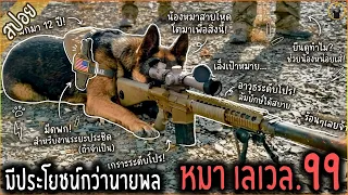 น้องหมาสุดโหด...มีประโยชน์กว่านายพล บางประเทศ - เล่าหนัง [สปอยหนัง]
