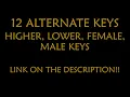 Conan Gray - Family Line Karaoke Instrumental Lower Higher Female Original Key