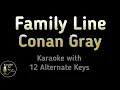 Download Lagu Conan Gray - Family Line Karaoke Instrumental Lower Higher Female Original Key