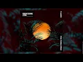 David Guetta & Sia - Flames (Pink Panda Remix)