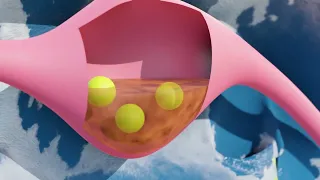 الحلقة 1 الرابط العجيب الموسم الثاني 