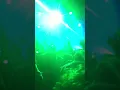 1995 - La source LIVE GENEVE
