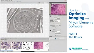 How to Optimize Imaging with Nikon Elements Software Part 1