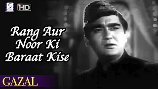 rang aur noor ki baraat kise pesh karoon mohammed rafi sunil dutt meena kumari