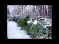 Winter in Our Town Walla Walla