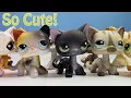 LPS Shorthair Cat Haul more kitties