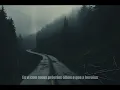 Cody Jinks - Fast Lane(PT-BR) Lyrics