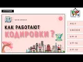 HOW DO CODES WORK PROGRAMMING BASICS