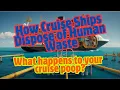 How Cruise Ships Dispose of Human Waste