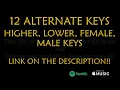 Alex Warren ft. Jelly Roll - Bloodline Karaoke Instrumental Lower Higher Female & Original Key