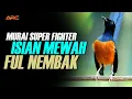 Download Lagu MURAI BATU GACOR FULL ISIAN TEMBAKAN DAN KRETEKAN AMPUH MENDONGKRAK EMOSI