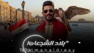 تحيا مصر الفنان أيمن الدرسي  دندنها