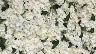 يا ام العريس 