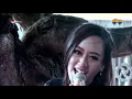 Download Lagu Pria Idaman   Monalisa