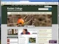 Difference between a web page browser and search engine