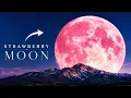 Strawberry Moon 2026 Everything You Need to Know Before June 29