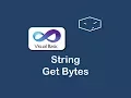 string get bytes in vb net