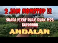 Download Lagu Suara Ruak Ruak Pikat Ampuh Banget | Mp3 suara pikat ruak ruak gacor #masterpikat #pikatruakruak