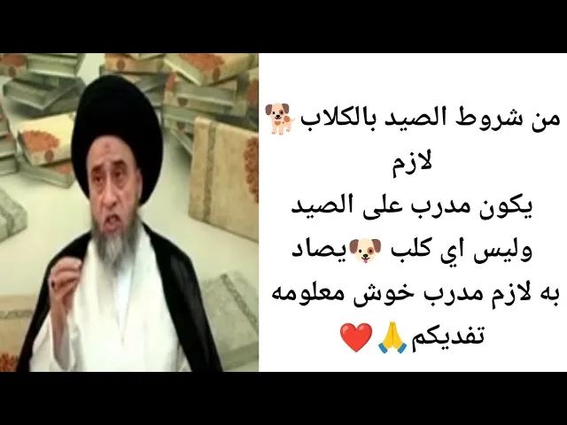 ⁣من شورط الصيد بالكلاب لازم يكون مدرب. 🐕🙏❤||ح11كتاب الصيد والذبائح ||سيد صباح شبر