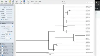 FigTree Tutorial
