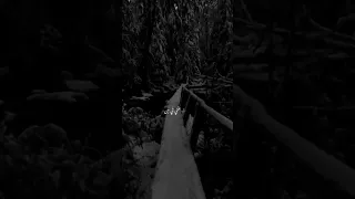 جورج وسوف هي مجتش عليك يلا فداك دندنها