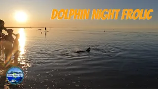 MONKEY MIA Dolphin Night Frolic