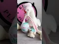 Unboxing My Mini Baby Mini brands ✨🍼 #shorts #reels #fyp #fy #mini #toys #satisfying #doll #foryou